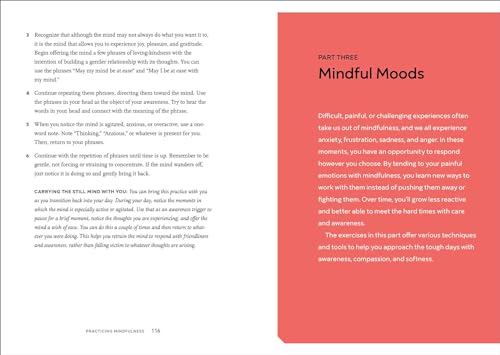 Practicing Mindfulness: 75 Essential Meditations to Reduce Stress, Improve Mental Health, and Find Peace in the Everyday